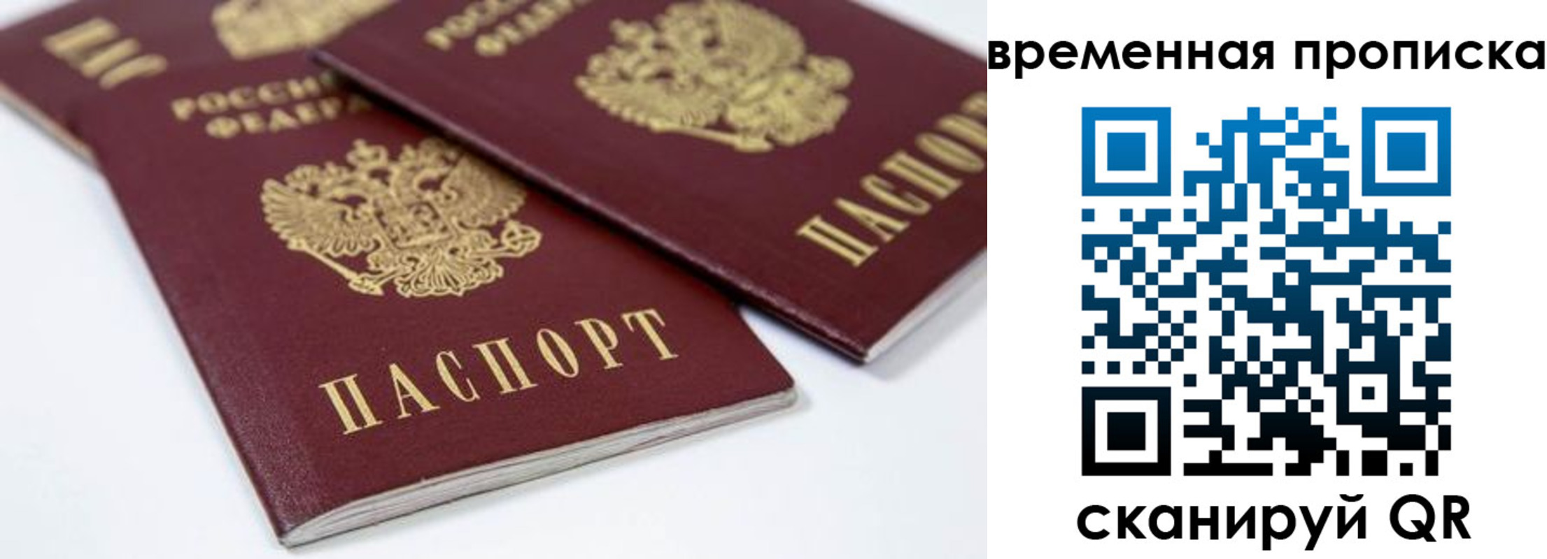 прописка для школы в Ворсме